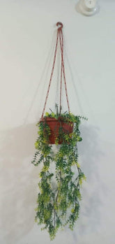 Brand New Hanging Planter With Pot