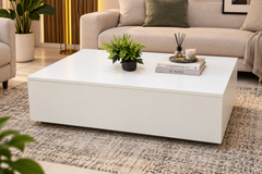 ELEGANT MODERN CENTER TABLE – STYLE MEETS STORAGE!