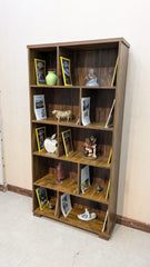 Brand New Book Shelf