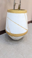 Planter with Live Plant