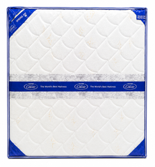 Brand New Master Celeste Spring Air Mattress