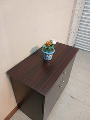 Multipurpose Cabinet