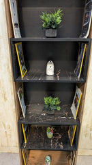 Brand New Book Shelf