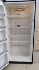 Imported Vertical Freezer