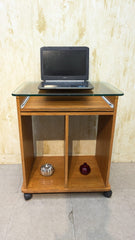 Computer trolley
