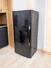 Imported Vertical Freezer