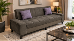 Sofa Cum Bed