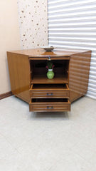 Multipurpose Cabinet