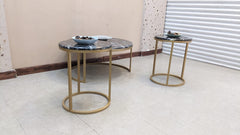 Marble Top Center and Side Tables Set
