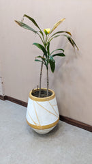 Planter with Live Plant