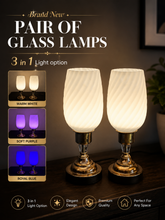 Brand New 3 In 1 Pair Of Lamps