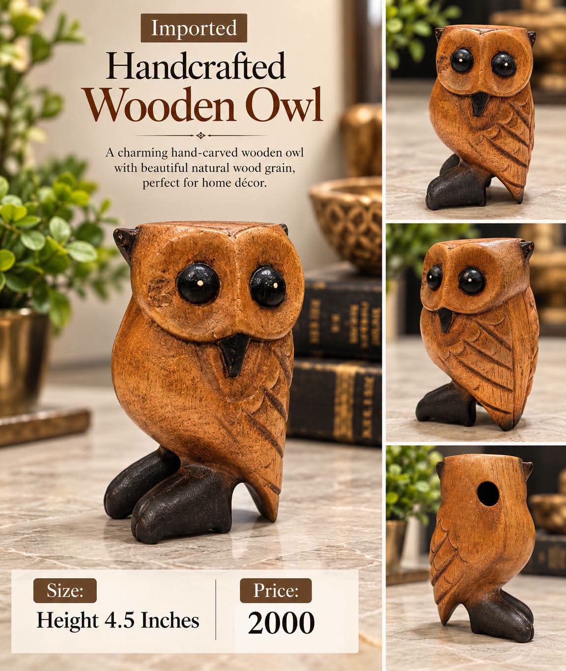 Imported Decorative Collection's