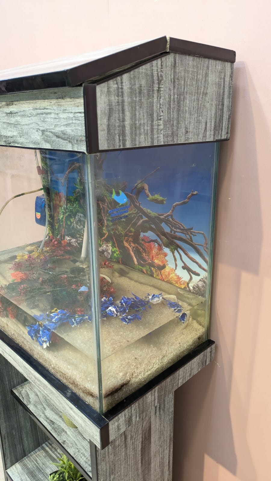 Aquarium