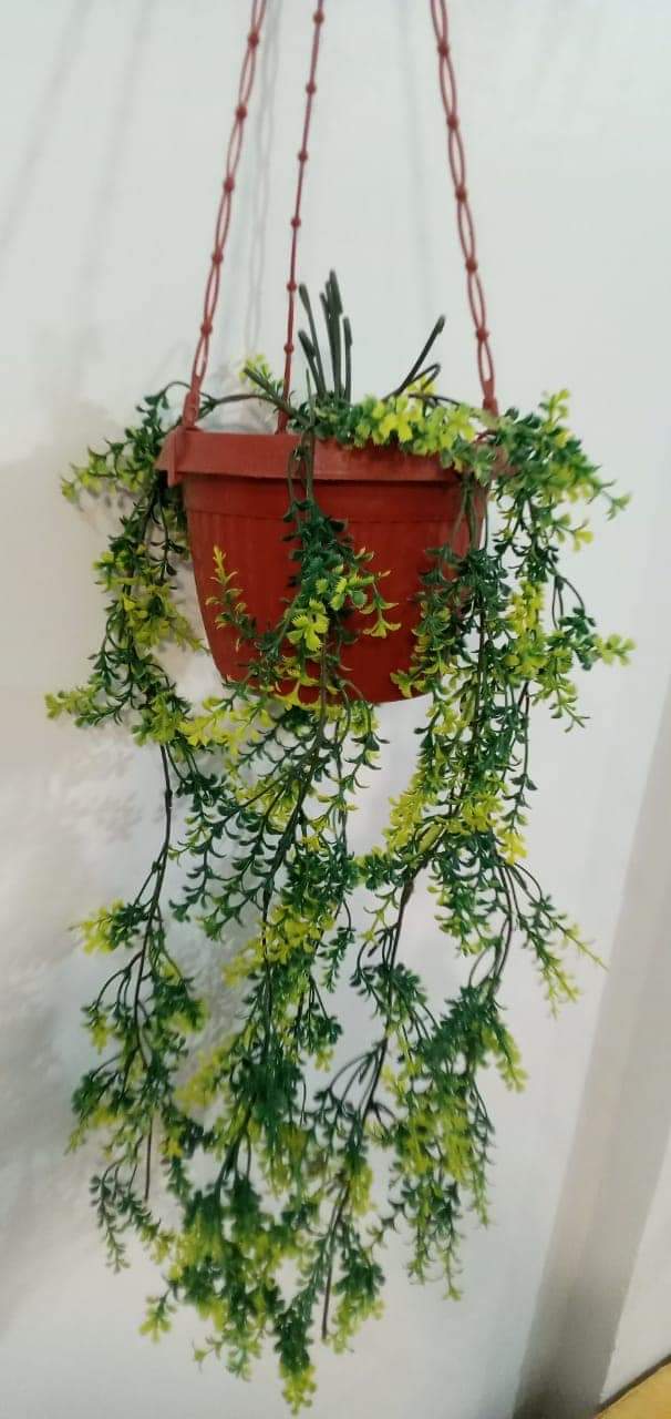 Brand New Hanging Planter With Pot