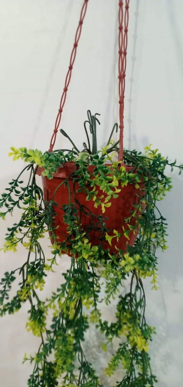 Brand New Hanging Planter With Pot