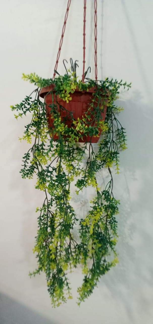 Brand New Hanging Planter With Pot