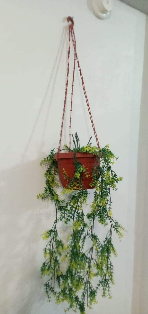 Brand New Hanging Planter With Pot
