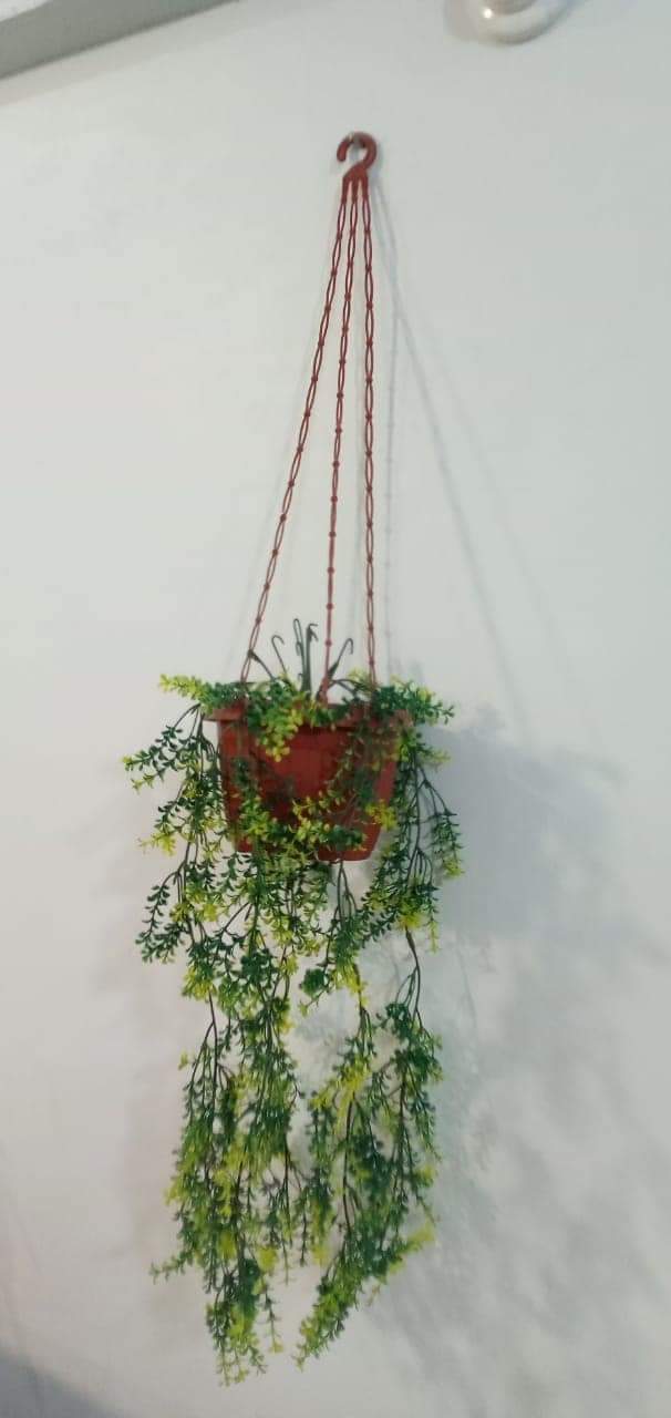 Brand New Hanging Planter With Pot