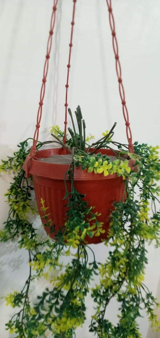 Brand New Hanging Planter With Pot