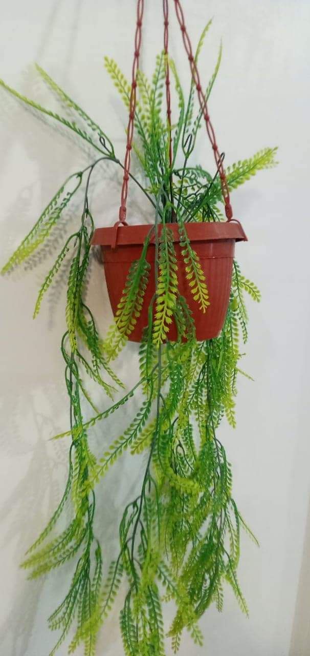 Brand New Hanging Planter With Pot