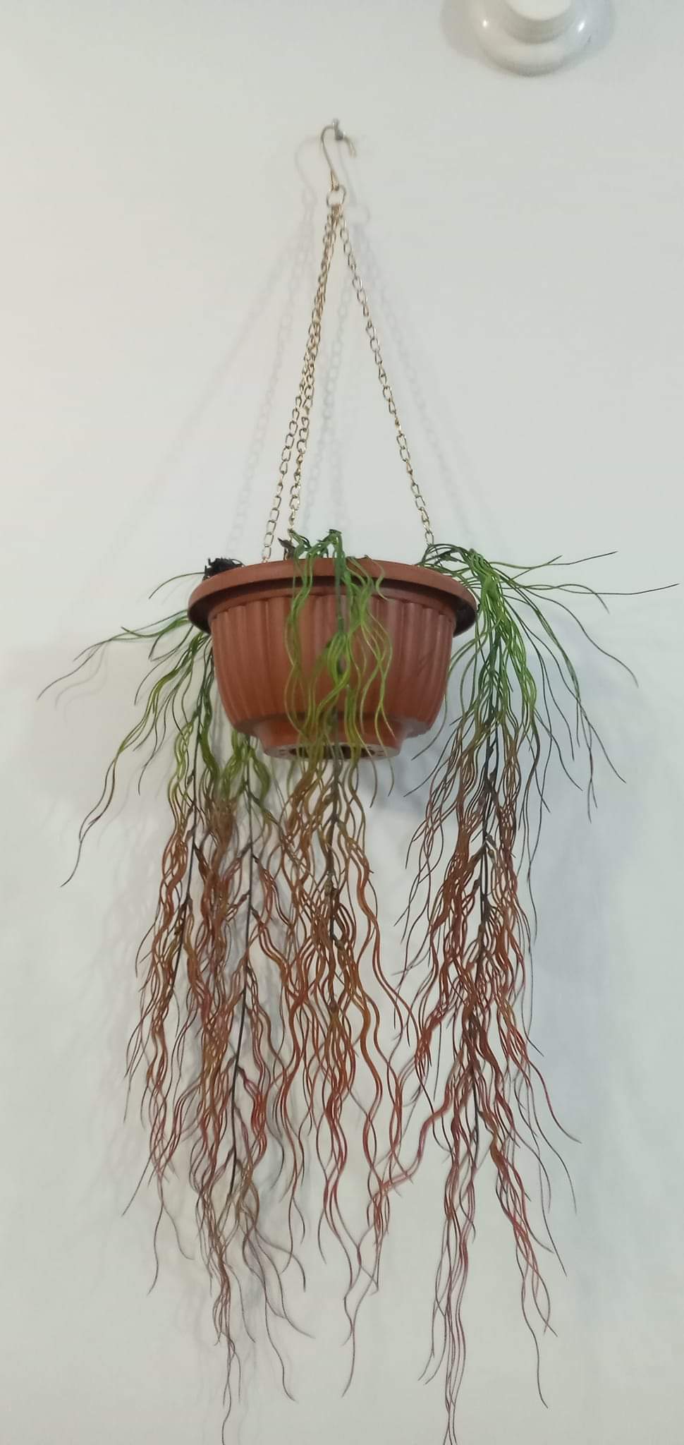 Brand New Hanging Planter With Pot