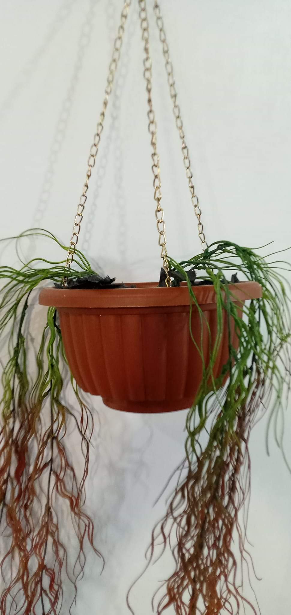 Brand New Hanging Planter With Pot