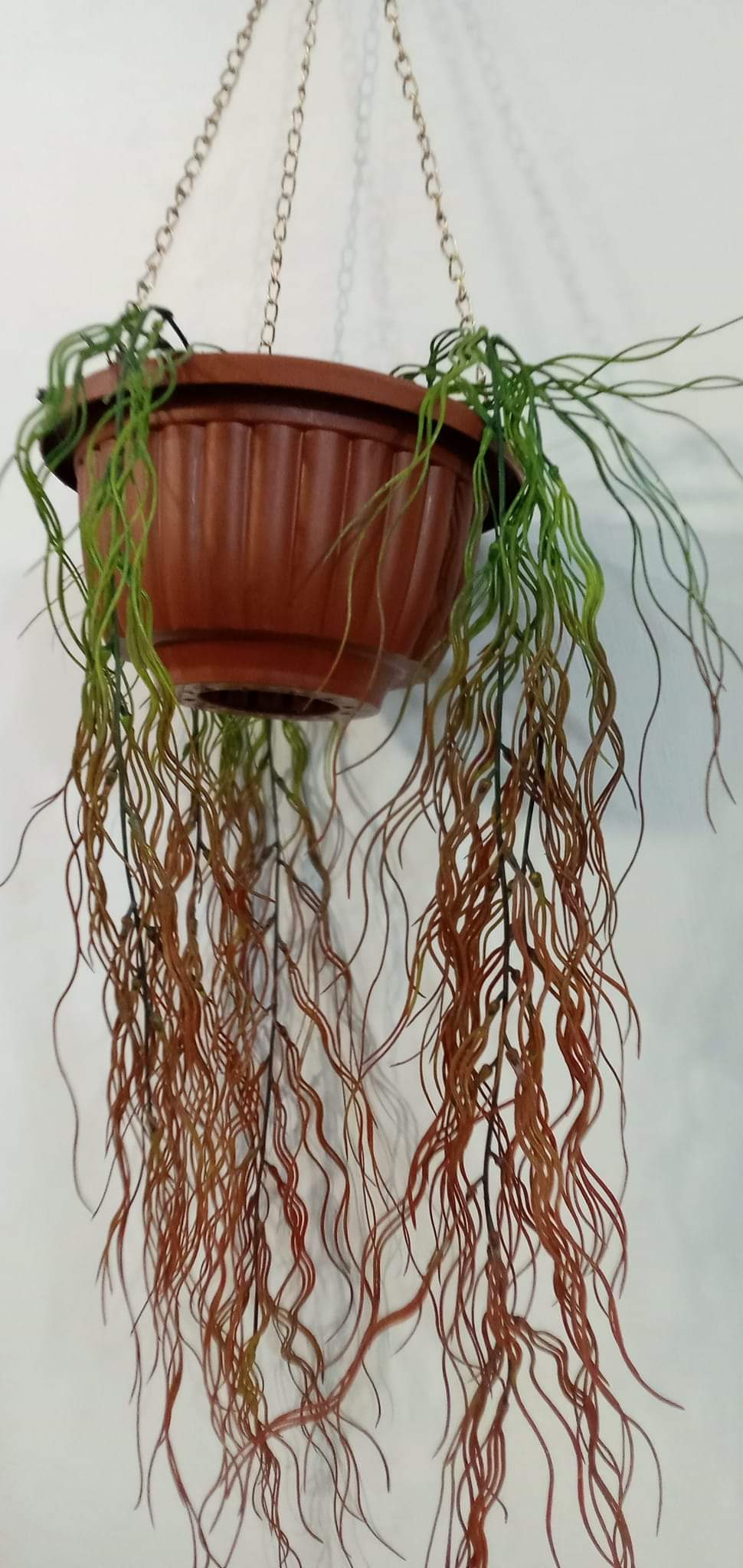 Brand New Hanging Planter With Pot