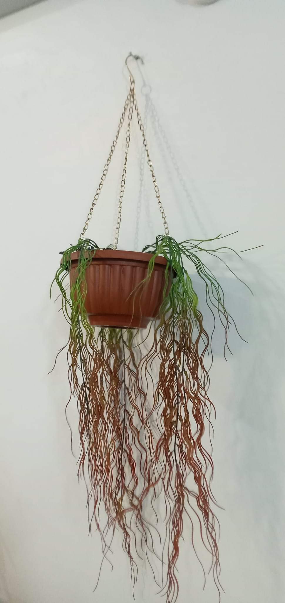 Brand New Hanging Planter With Pot