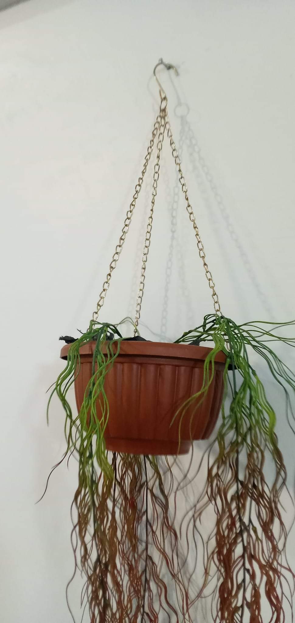 Brand New Hanging Planter With Pot