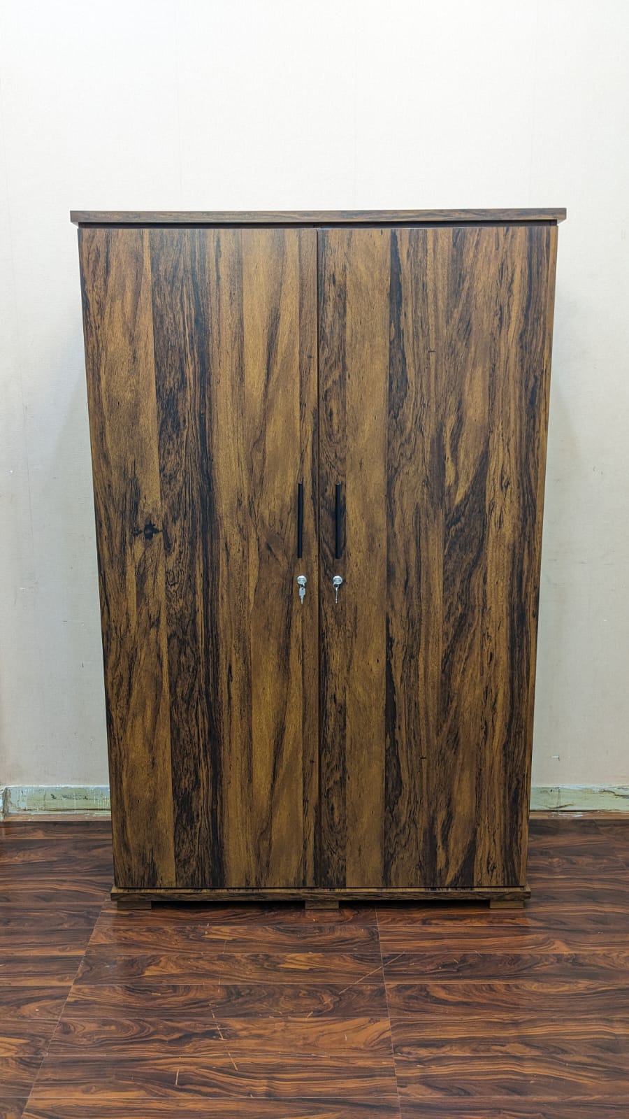 DivineCrafts New 2 Door Almirah