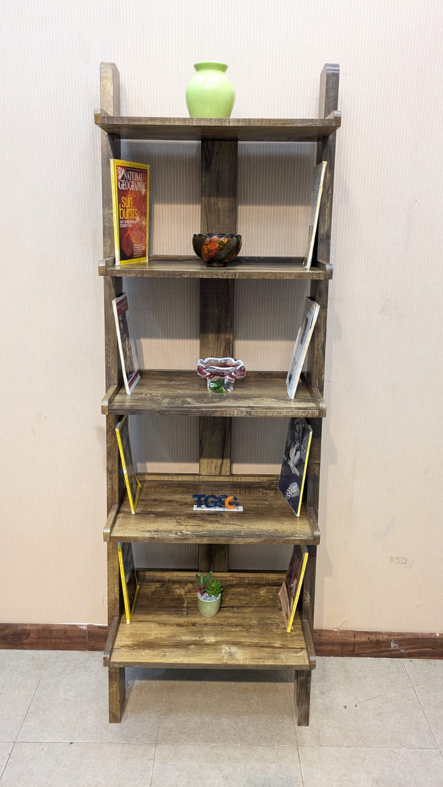 Brand New Ledder Shelve