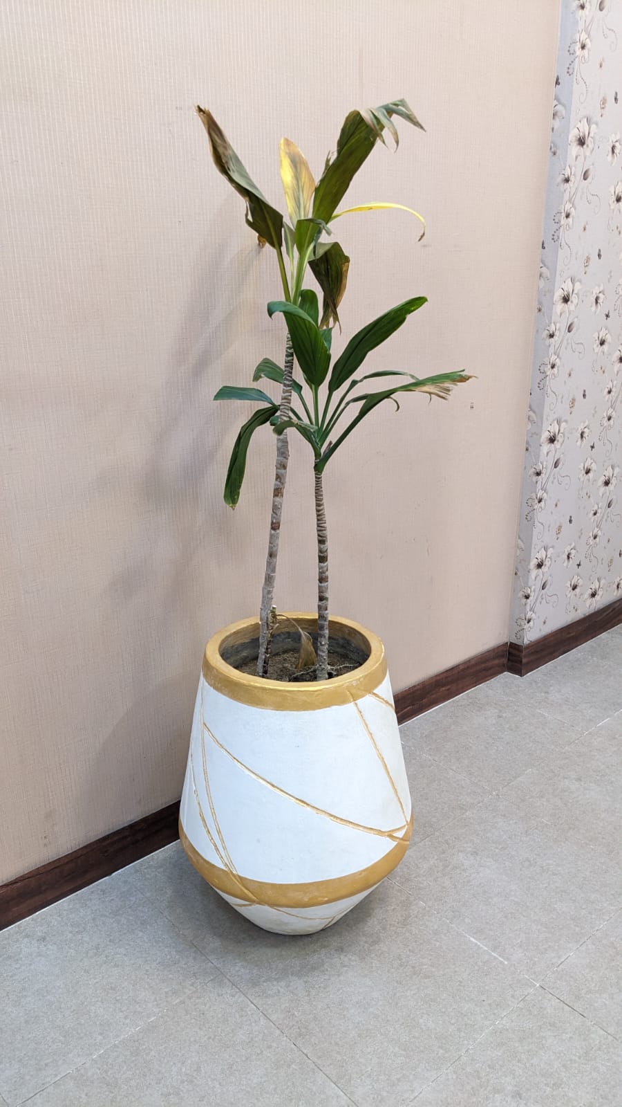 Planter with Live Plant