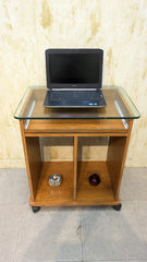 Computer trolley