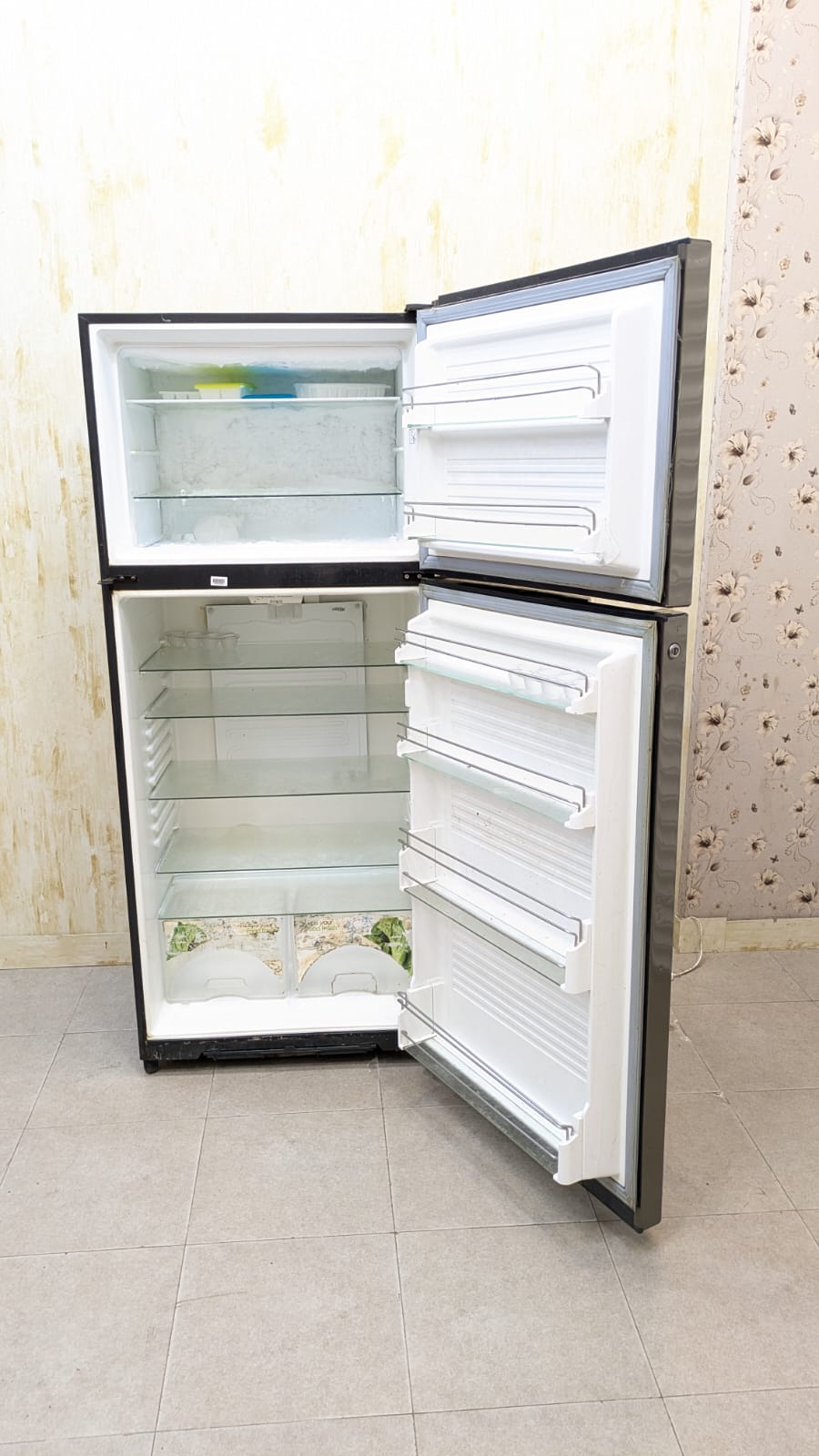 Dawlance Signature Inverter Refrigerator
