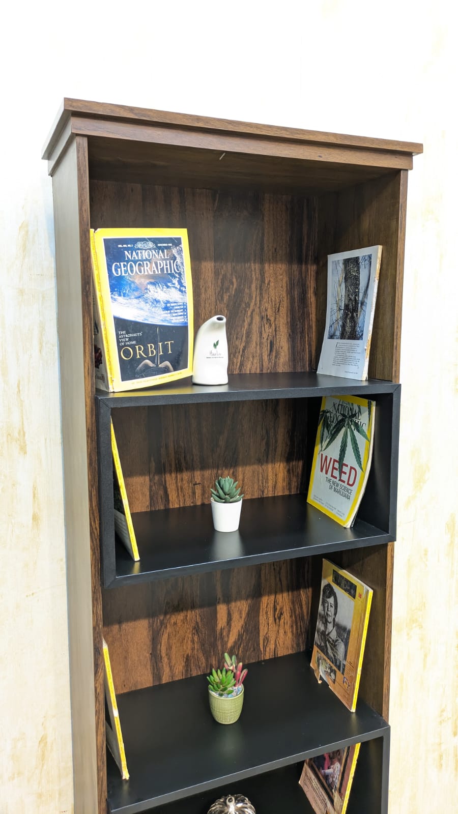 Brand New book shelf