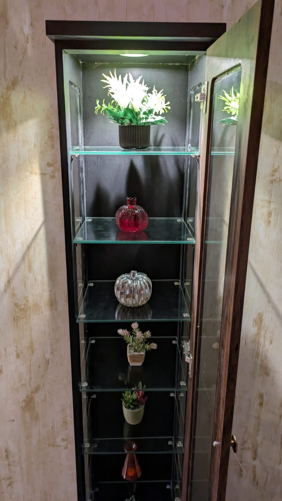 Brand New Display shelf