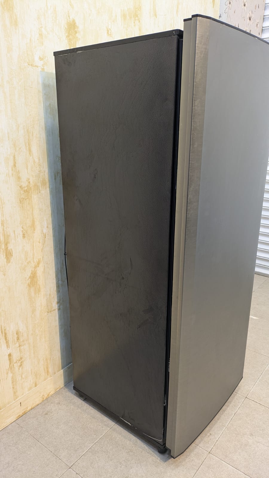 PEL Vertical Deep Freezer