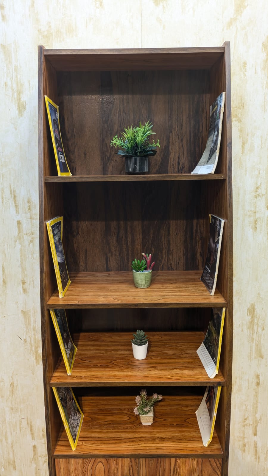 Brand New book shelf