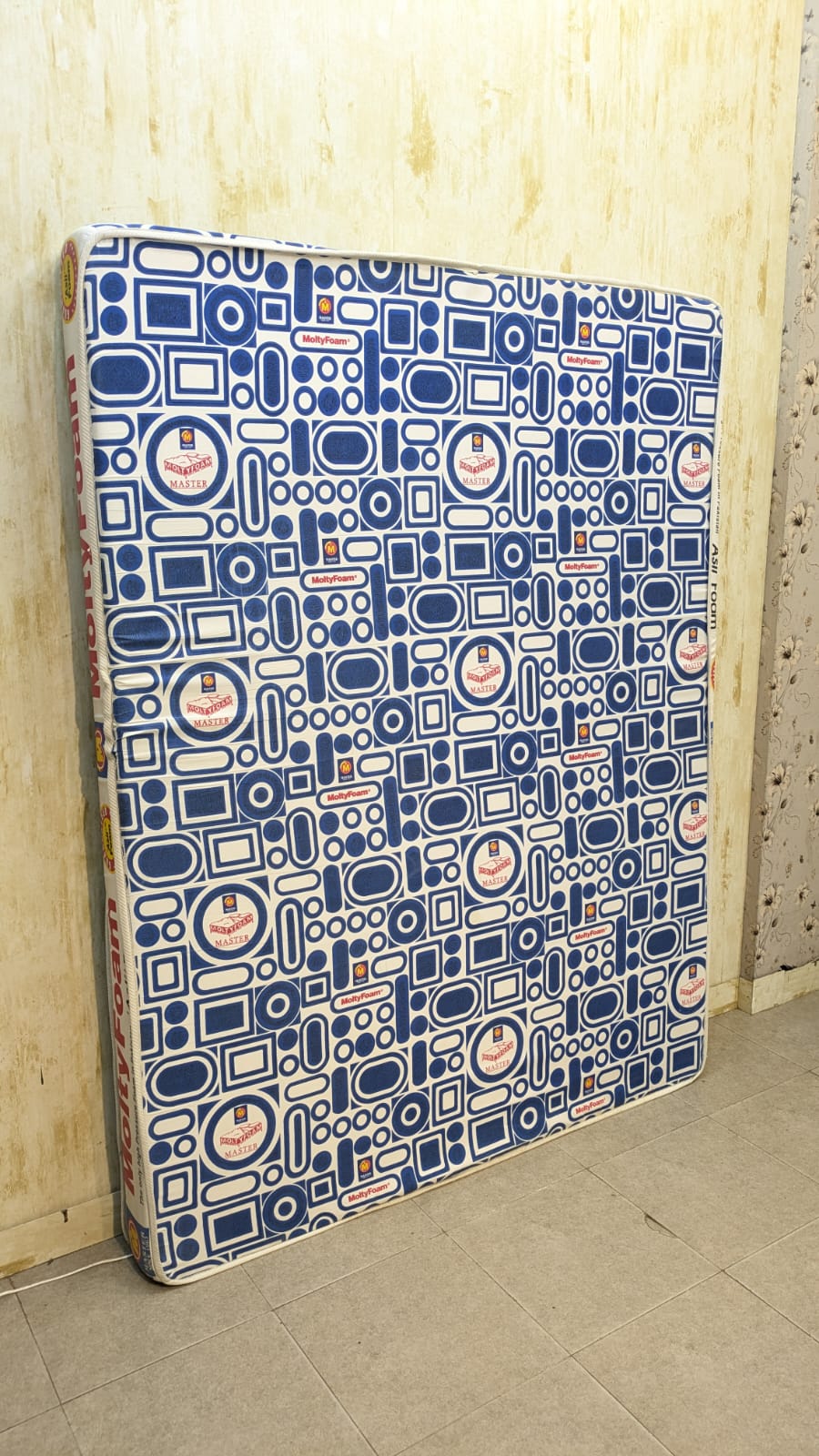 Master Molty Foam Queen Size Mattress