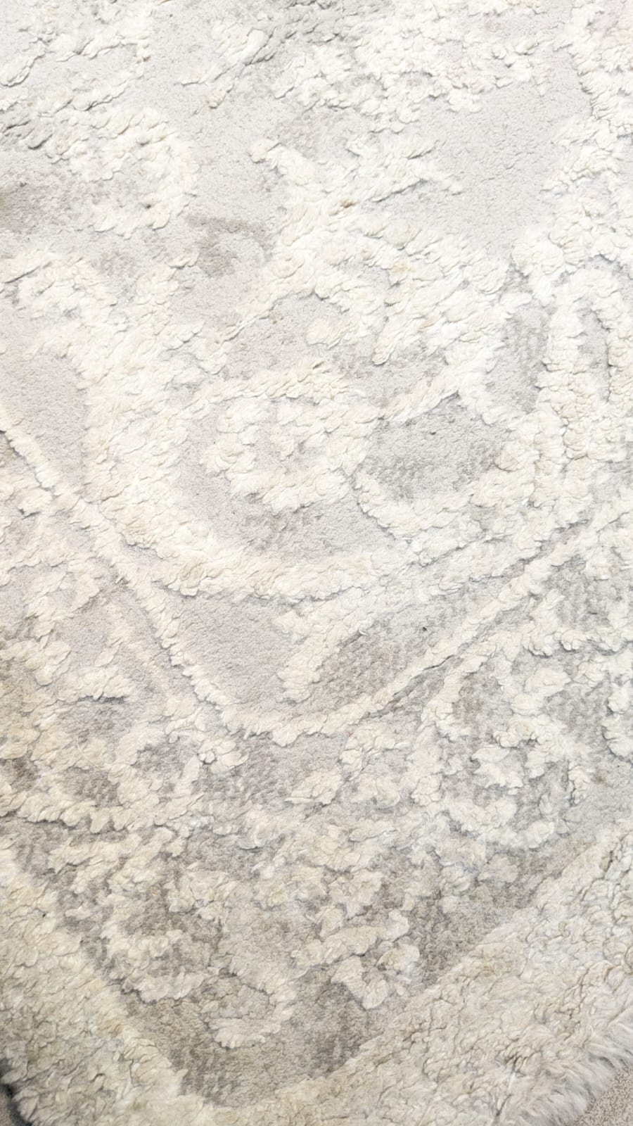 Beautiful Carpet