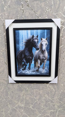 New Wall Mounted Frame  Spirit Of Freedom