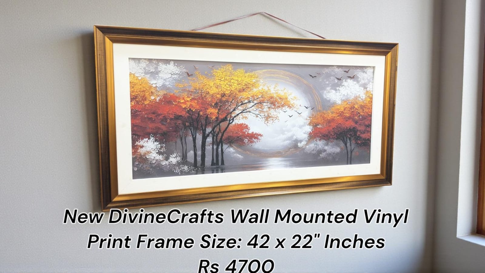 Tested New Wall Mounted Frames