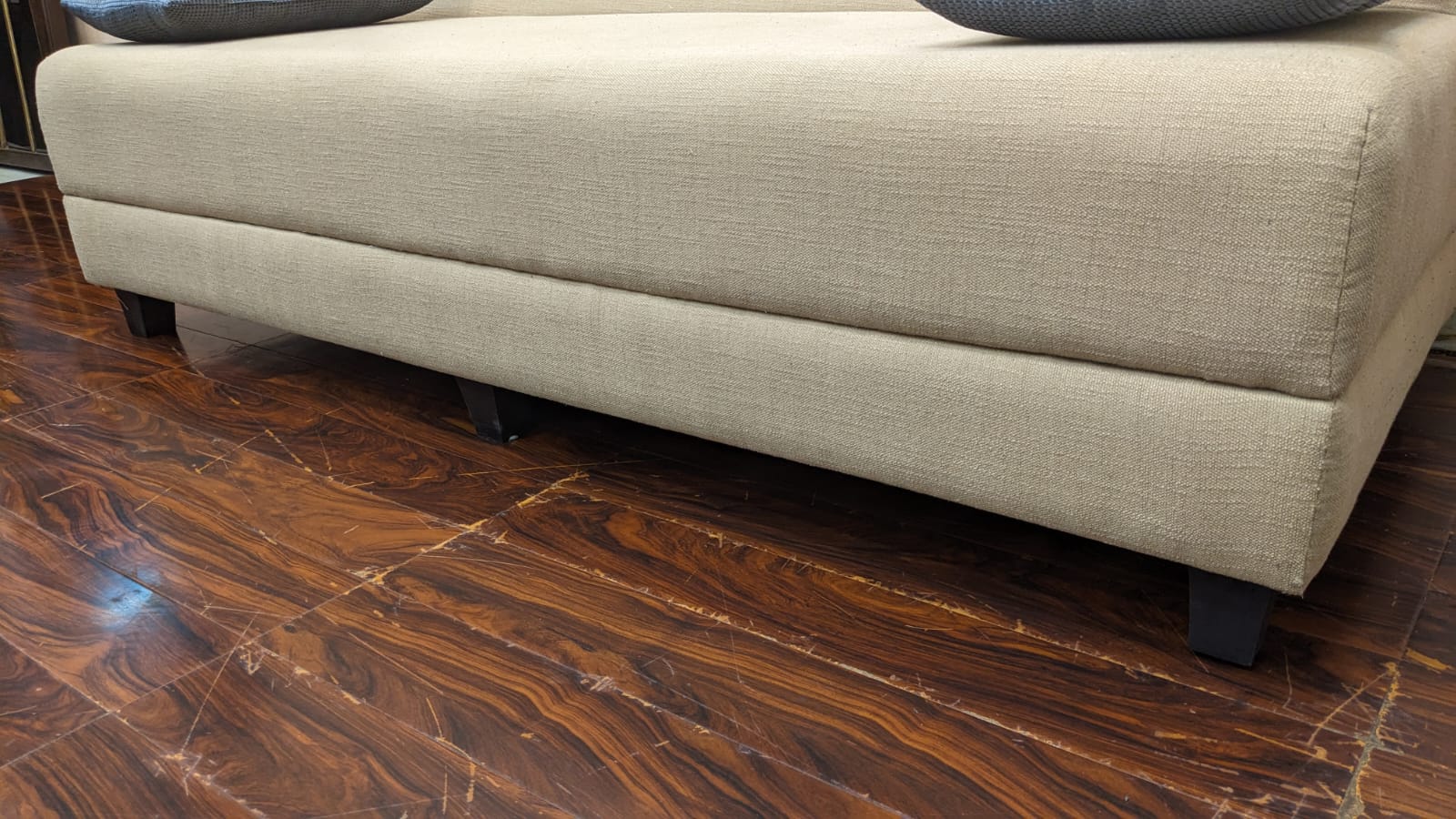 DivineCrafts Brand New Sofa Cum Bed