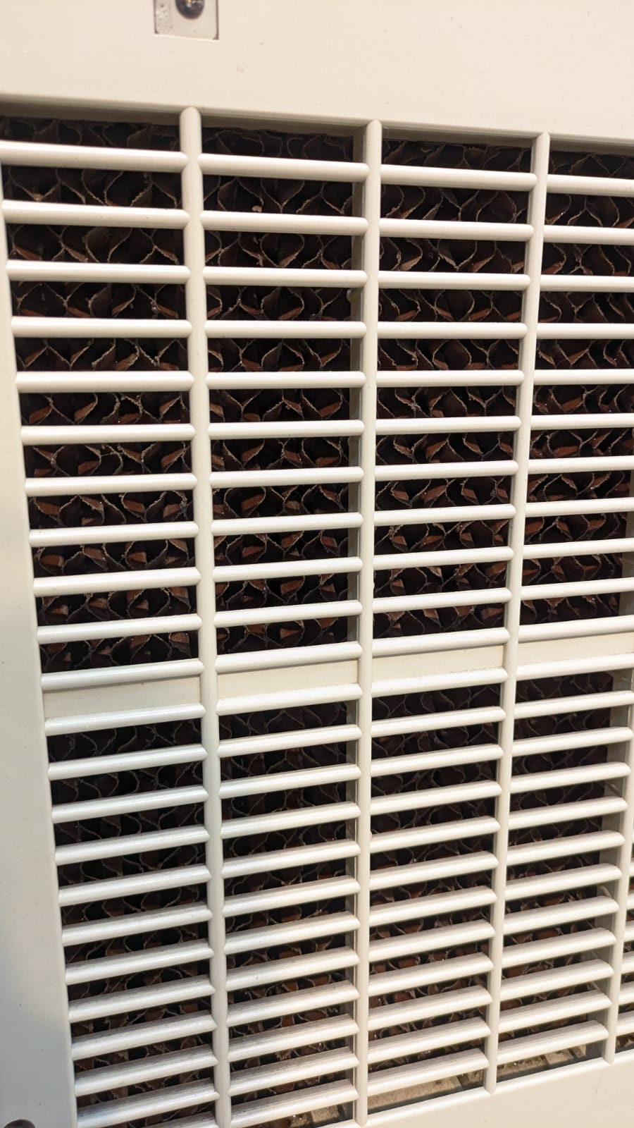 Atlas Room Cooler