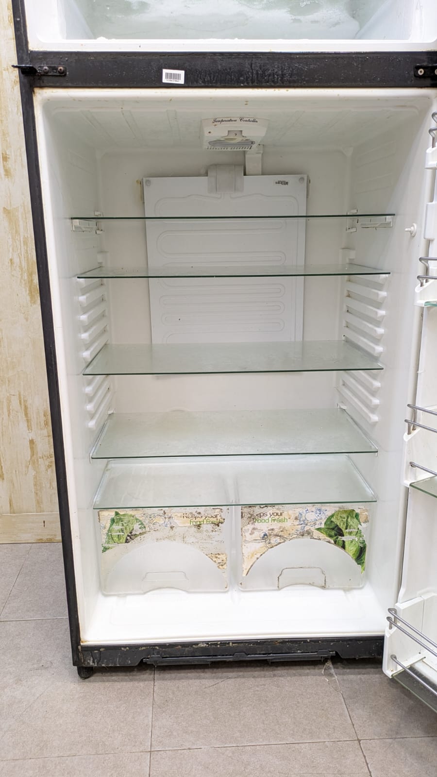 Dawlance Signature Inverter Refrigerator