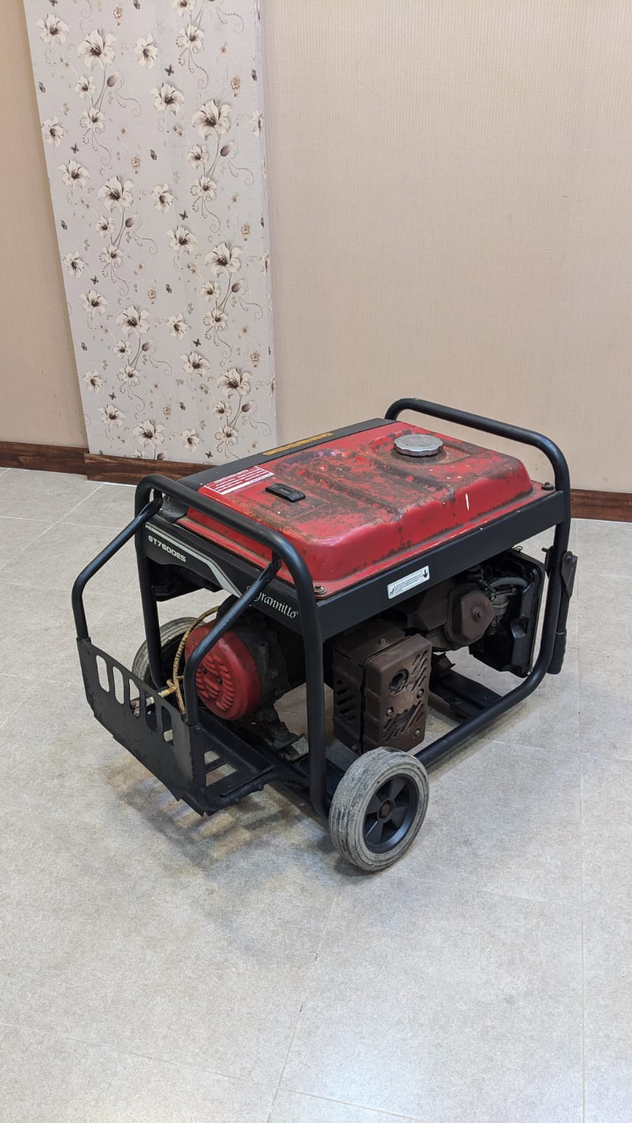 Grannitto 6.5 KVA Generator