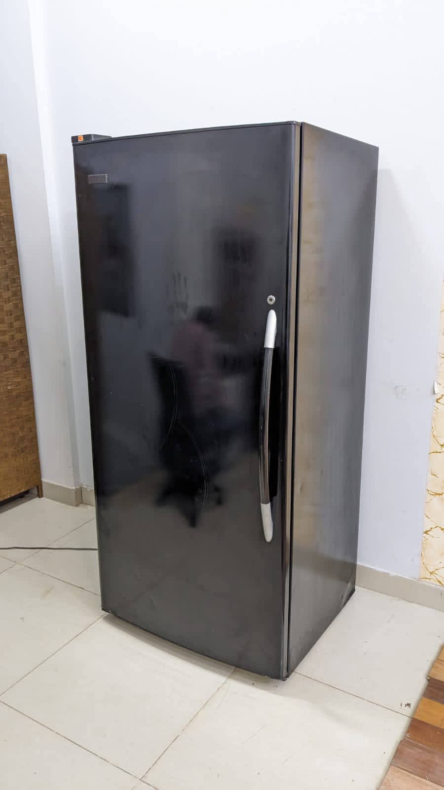 Imported Vertical Freezer