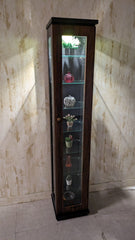 Brand New Display shelf