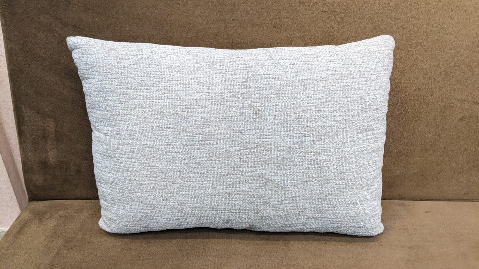 Sofa Cum Bed