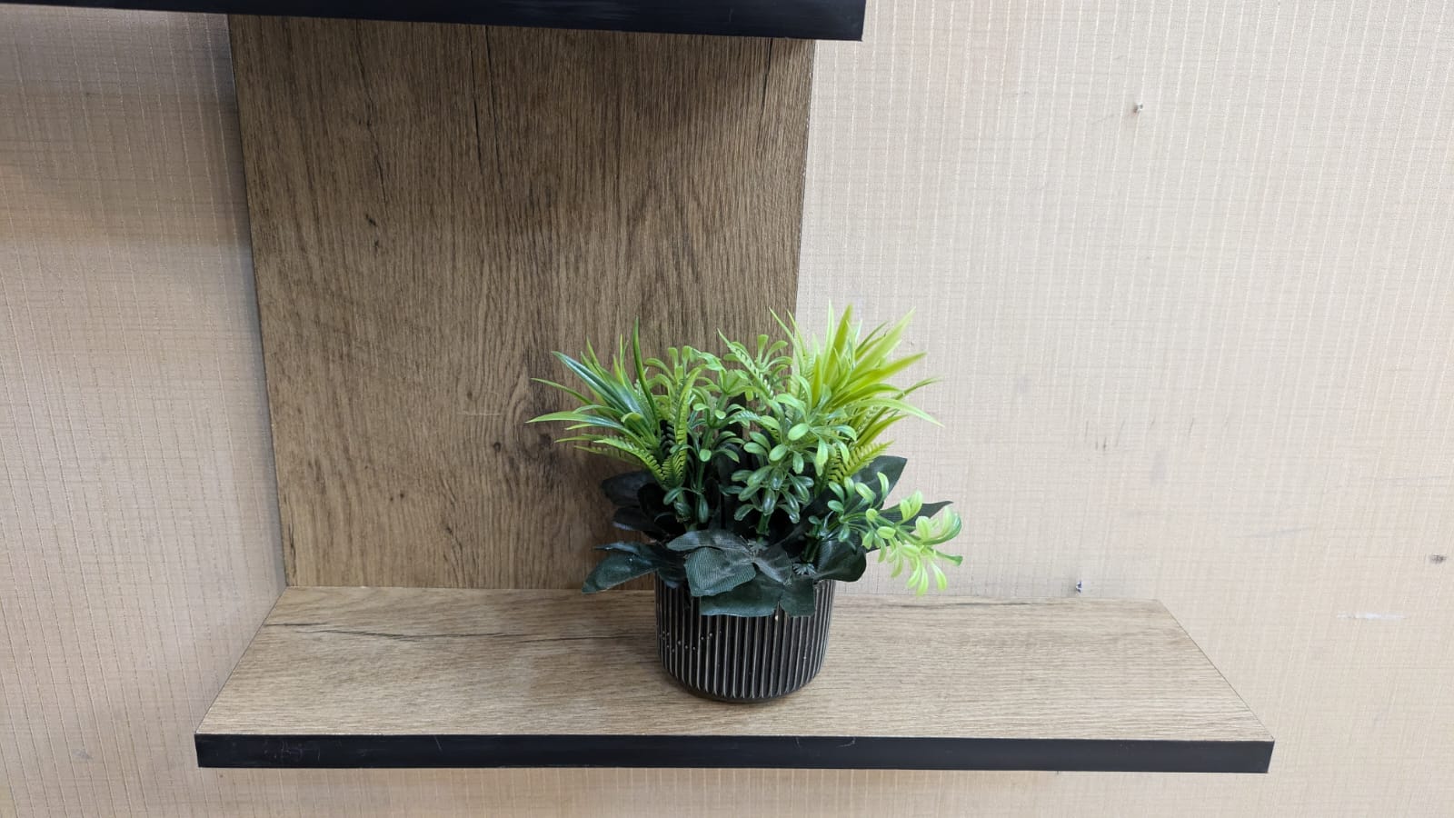 BRAND NEW WALL MOUNTED DISPLAY SHELF
